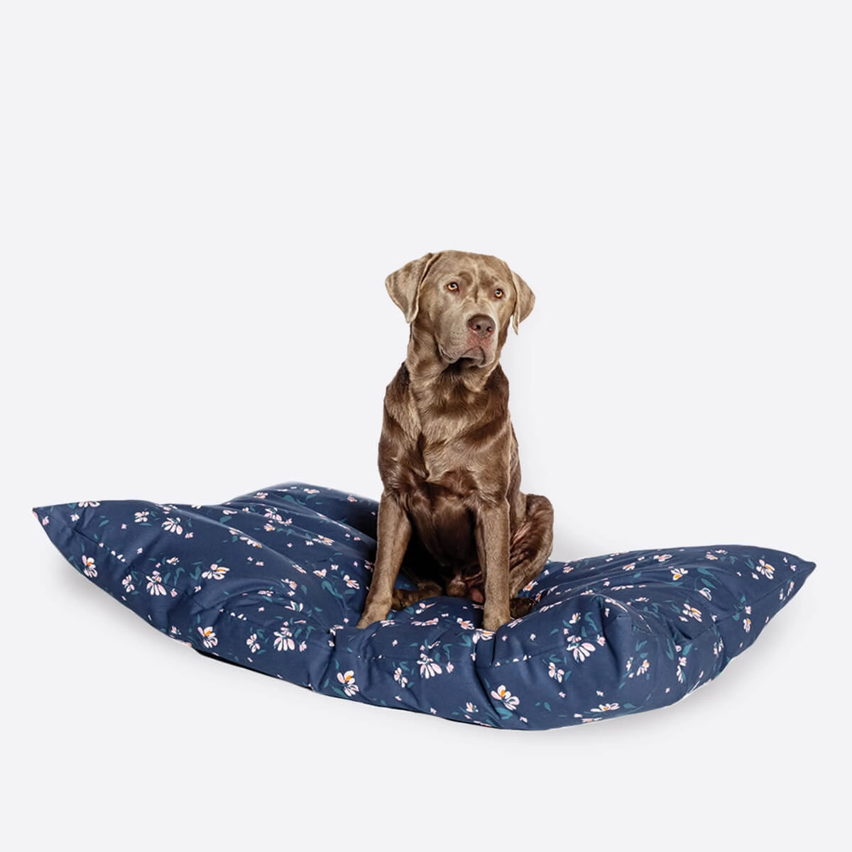 FatFace Brush Floral Deep Duvet Dog Bed - Spare Cover