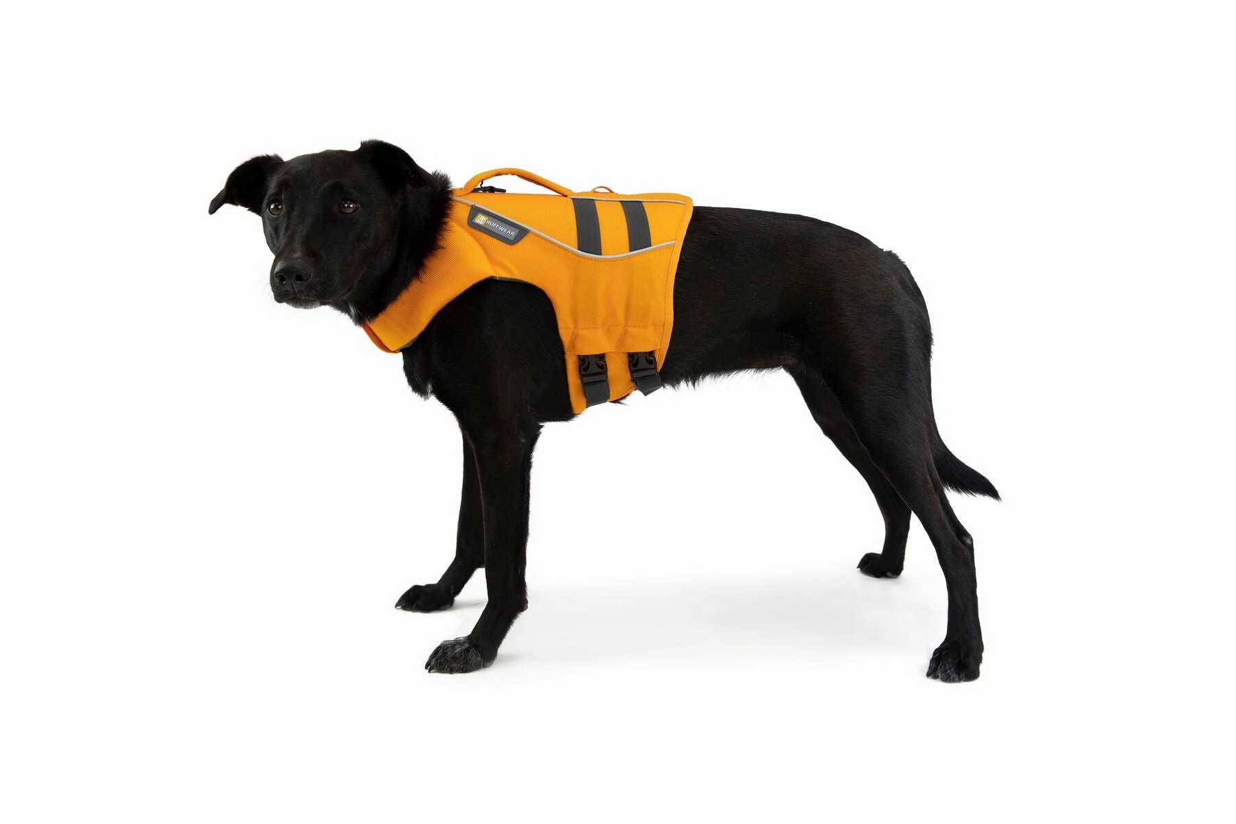 Float Coat Dog Life Vest