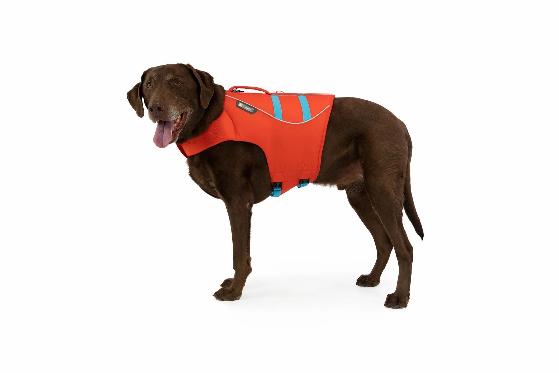 Float Coat Dog Life Vest