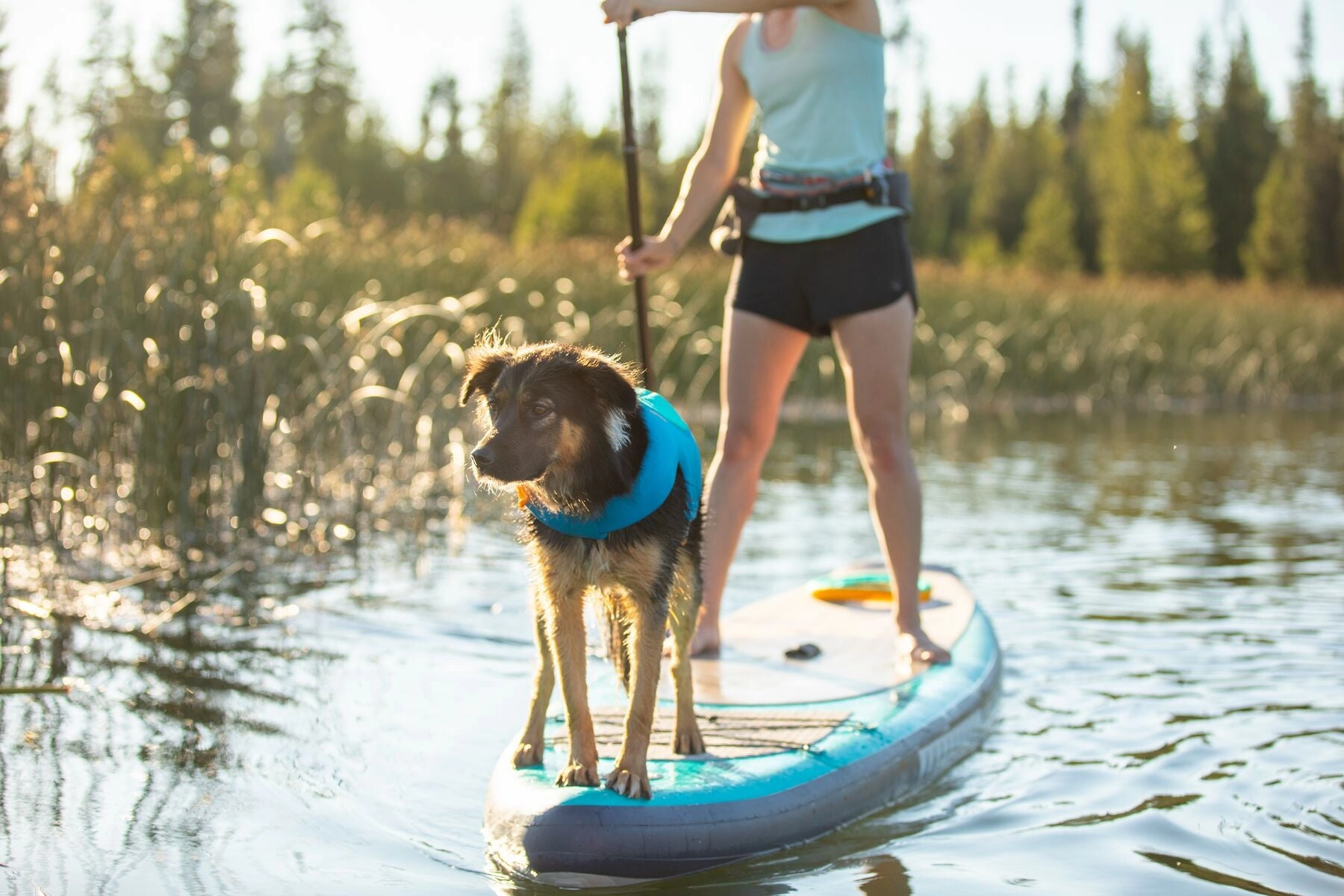 Float Coat Dog Life Vest