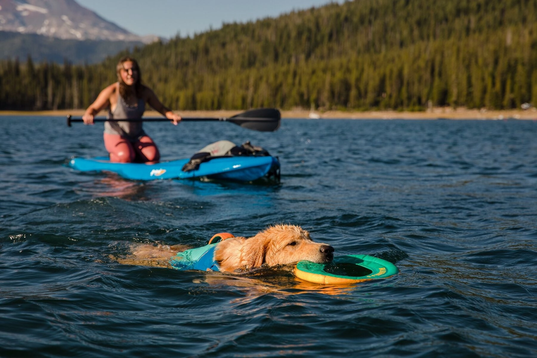 Float Coat Dog Life Vest