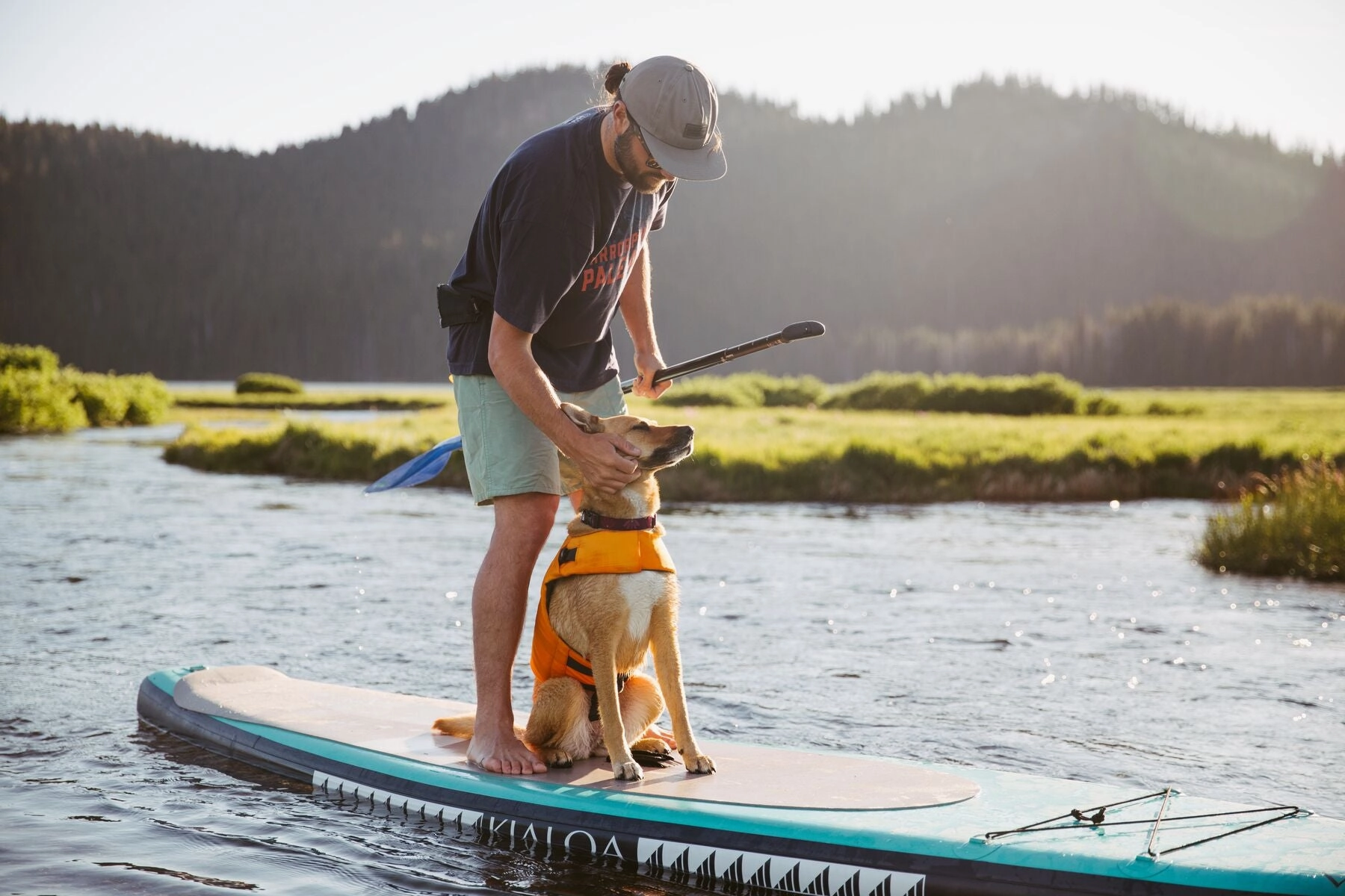 Float Coat Dog Life Vest