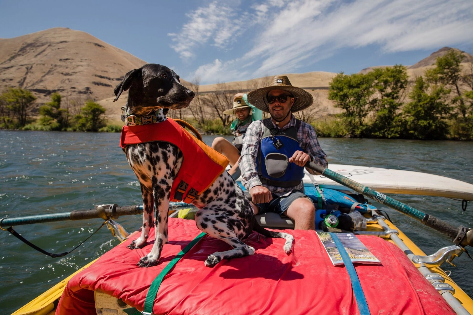 Float Coat Dog Life Vest
