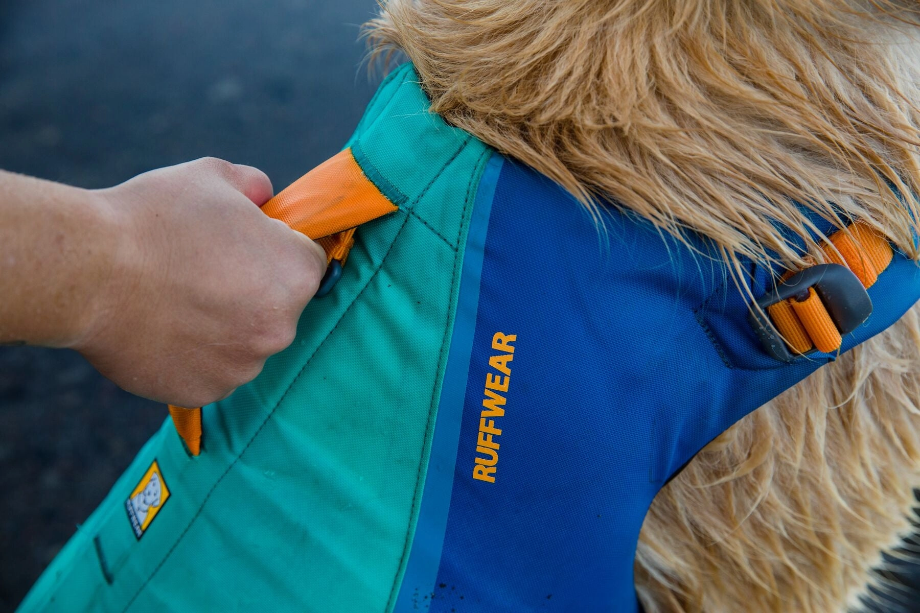 Float Coat Dog Life Vest
