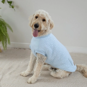 DOG CLOTHES