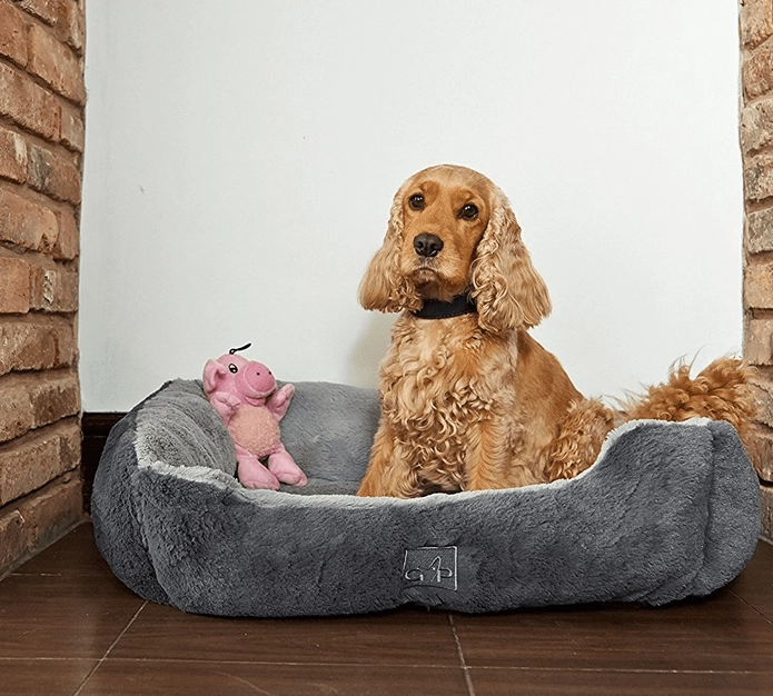 Gor Pets Dream Slumber Dog Bed
