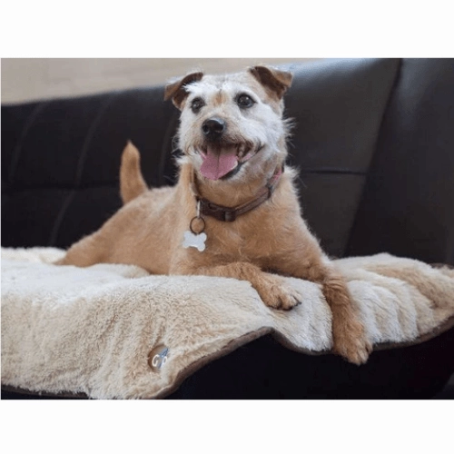 Gor Pets Nordic Double Sided Pet Blanket