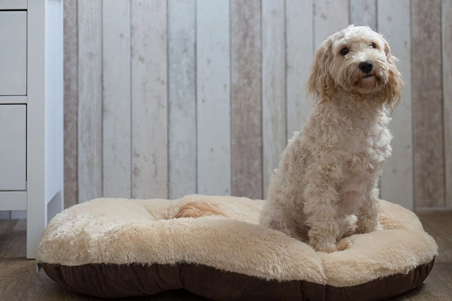 Gor Pets Nordic Oval Cushion Dog Bed