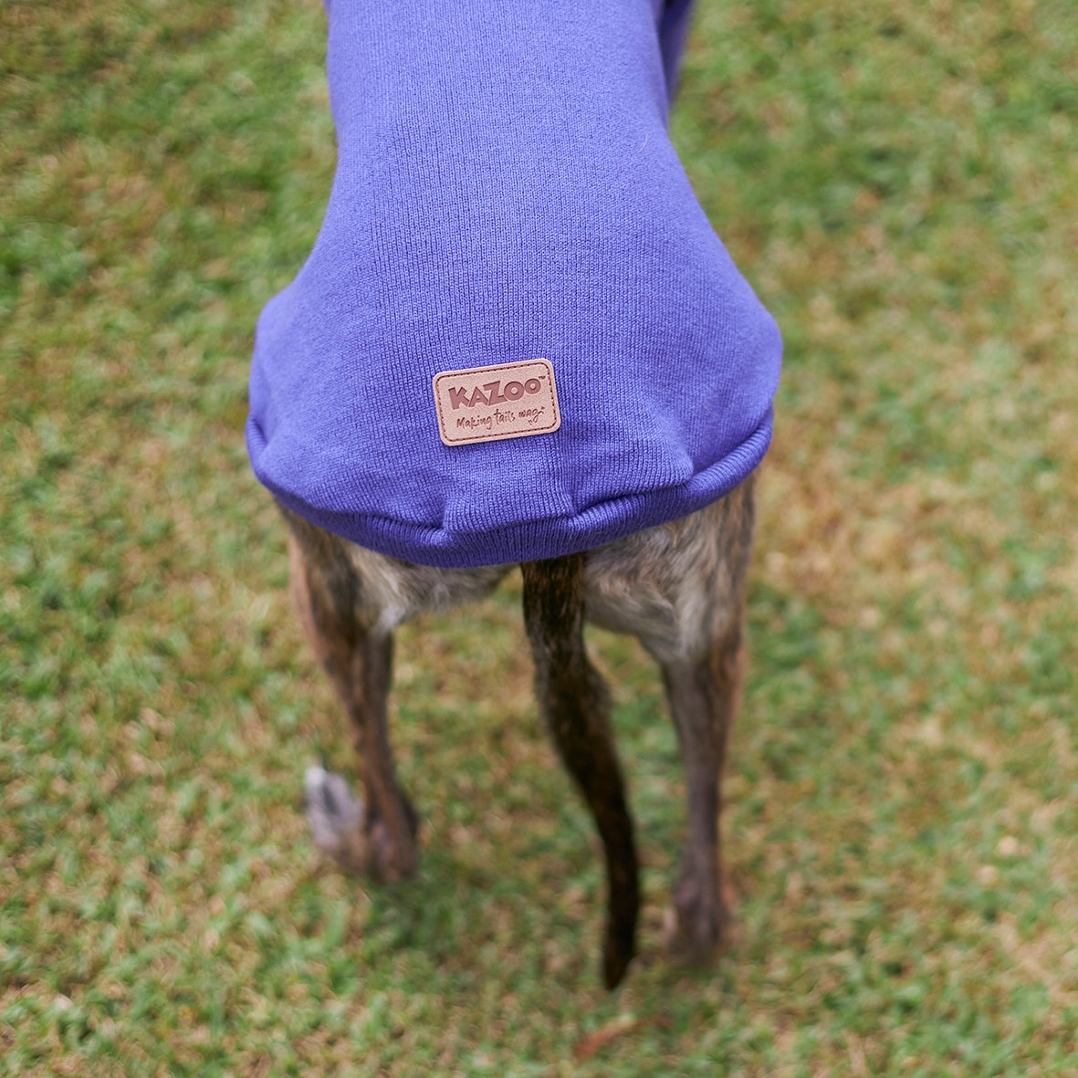 Greyhound Jumper - Sundown