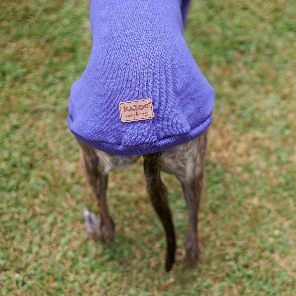 Greyhound Jumper - Sundown