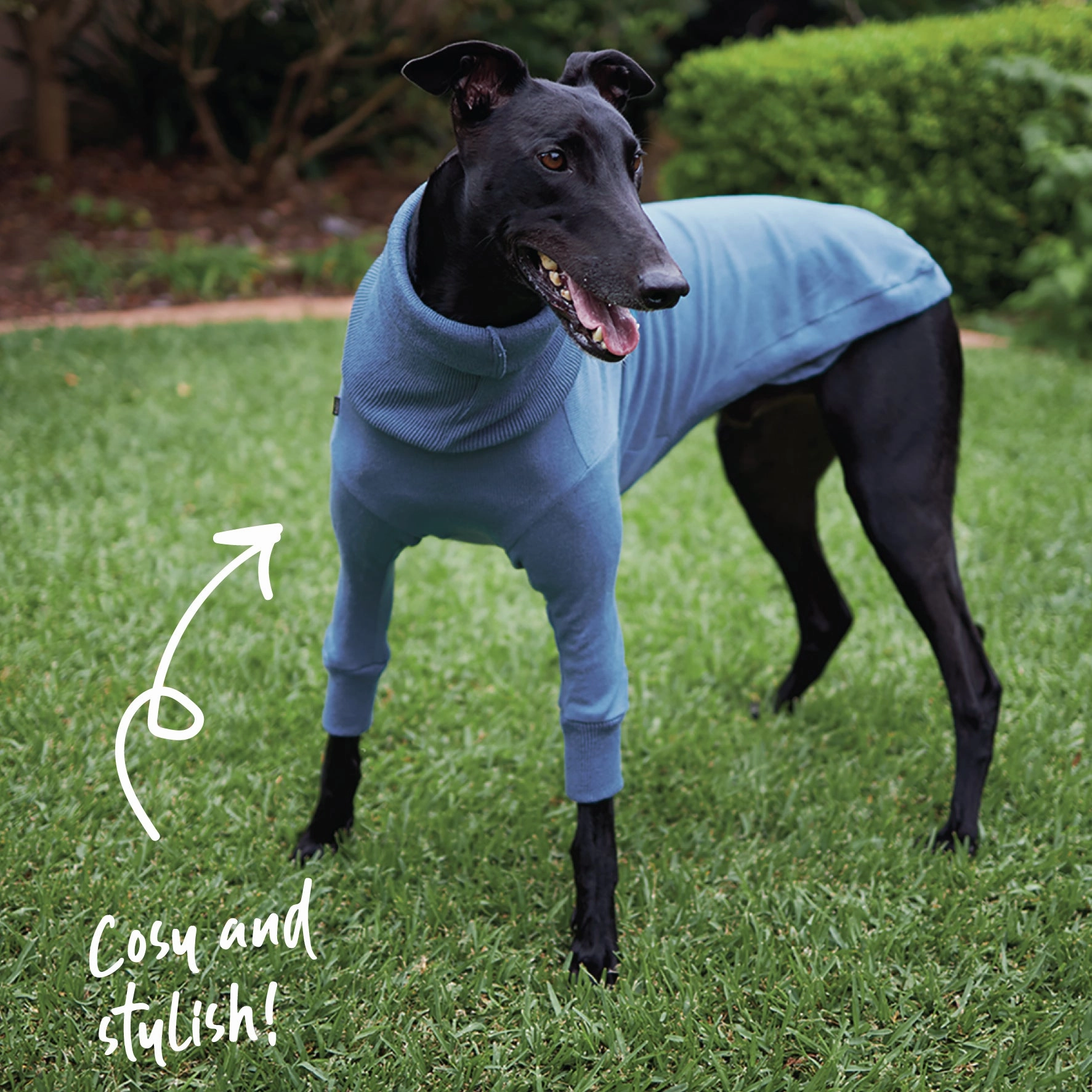 Greyhound Knit Jumper - Brighton
