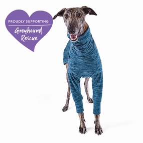 GREYHOUND JUMPERS
