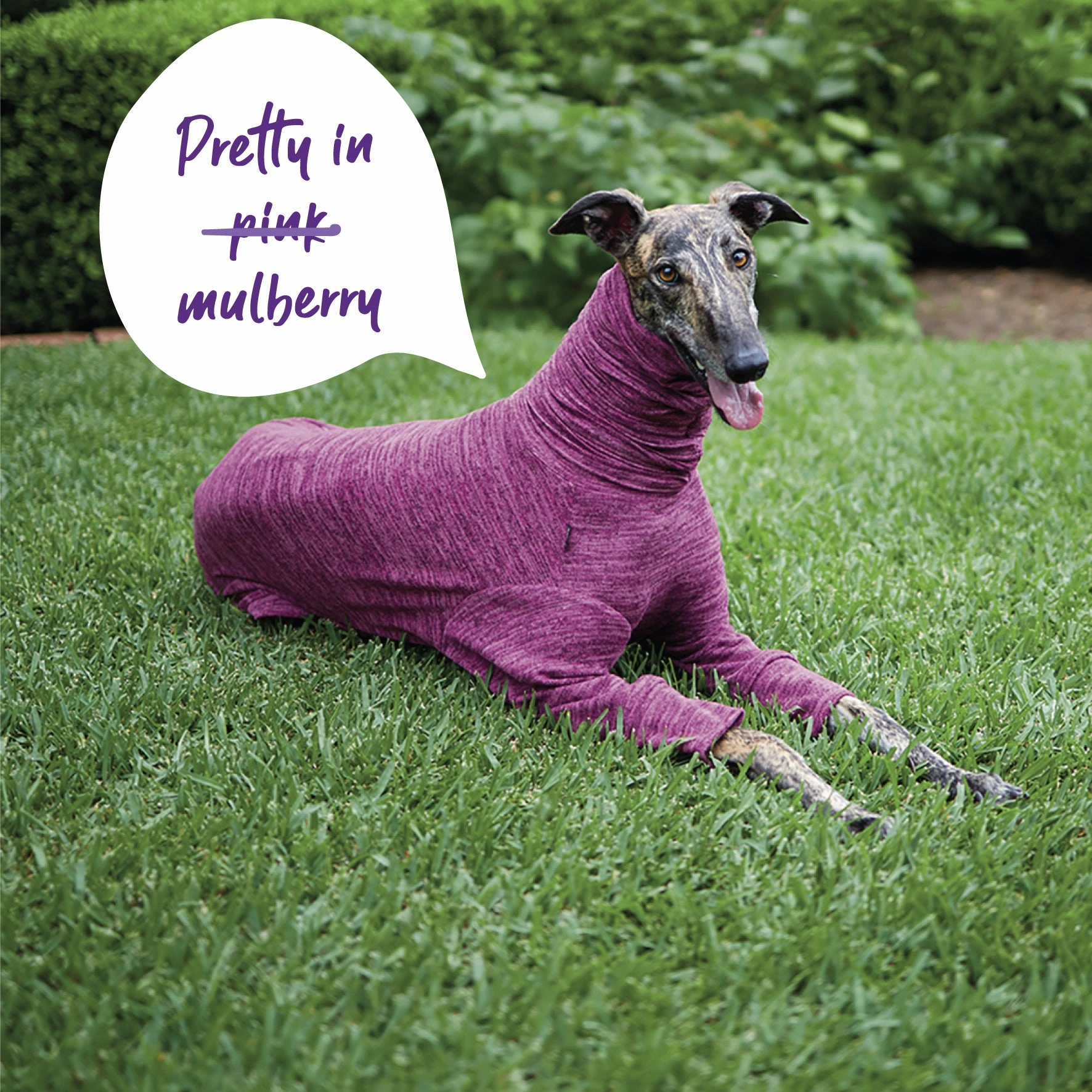 Greyhound Softie Jumper - Mulberry
