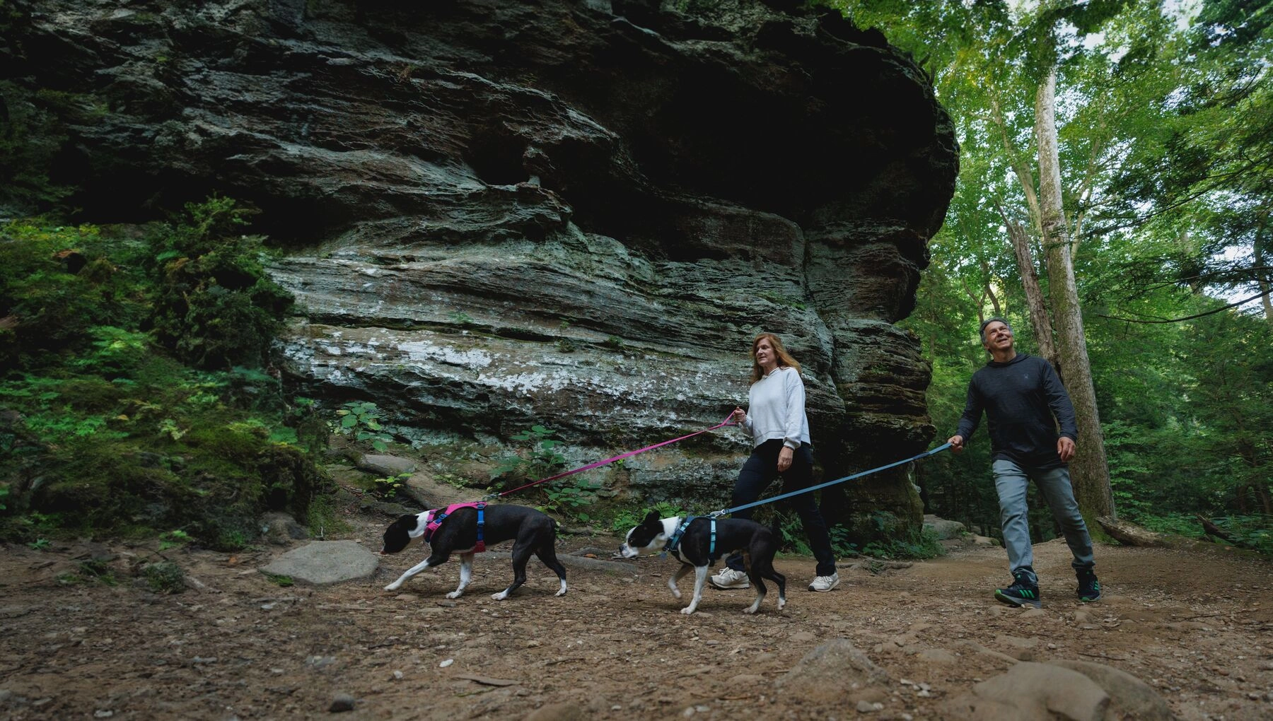Hi & Light? Lightweight Dog Harness