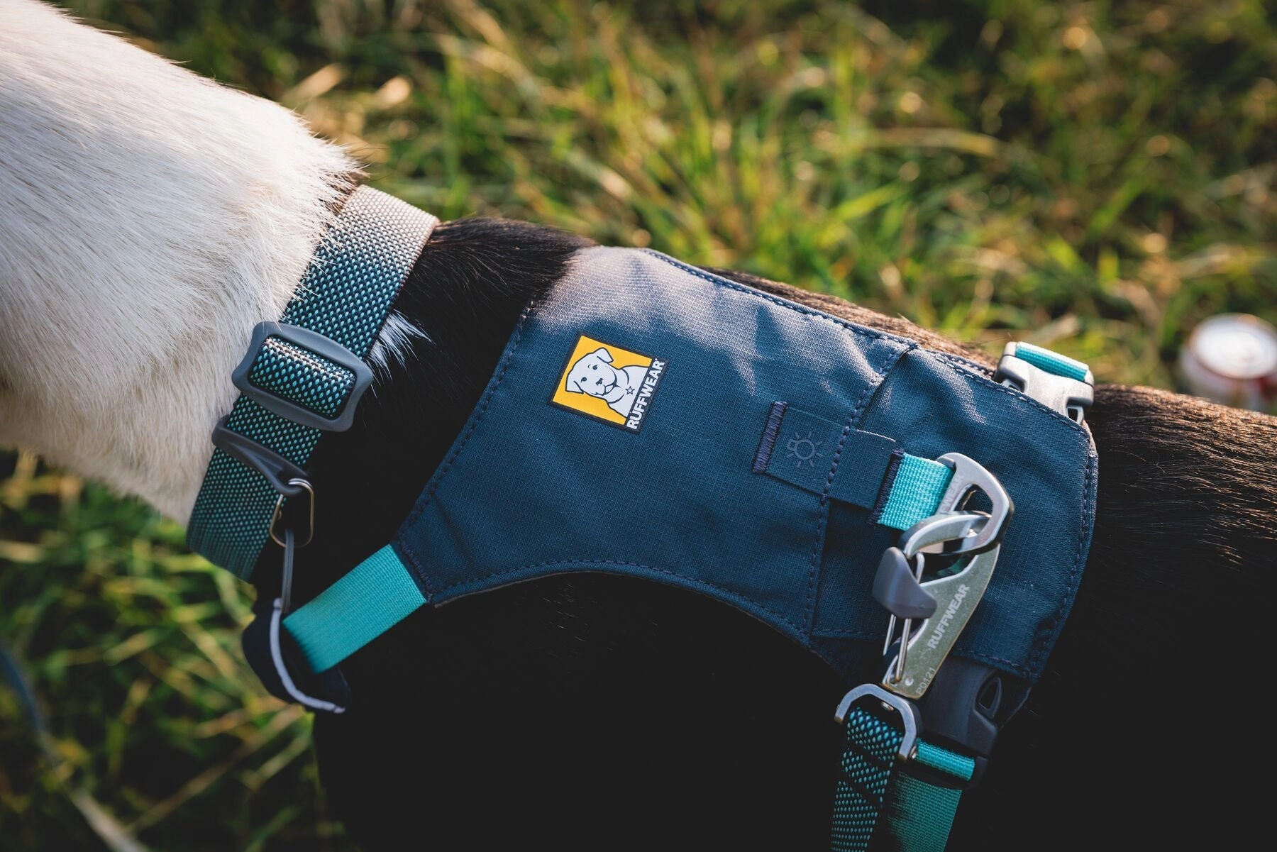 Hi & Light? Lightweight Dog Harness