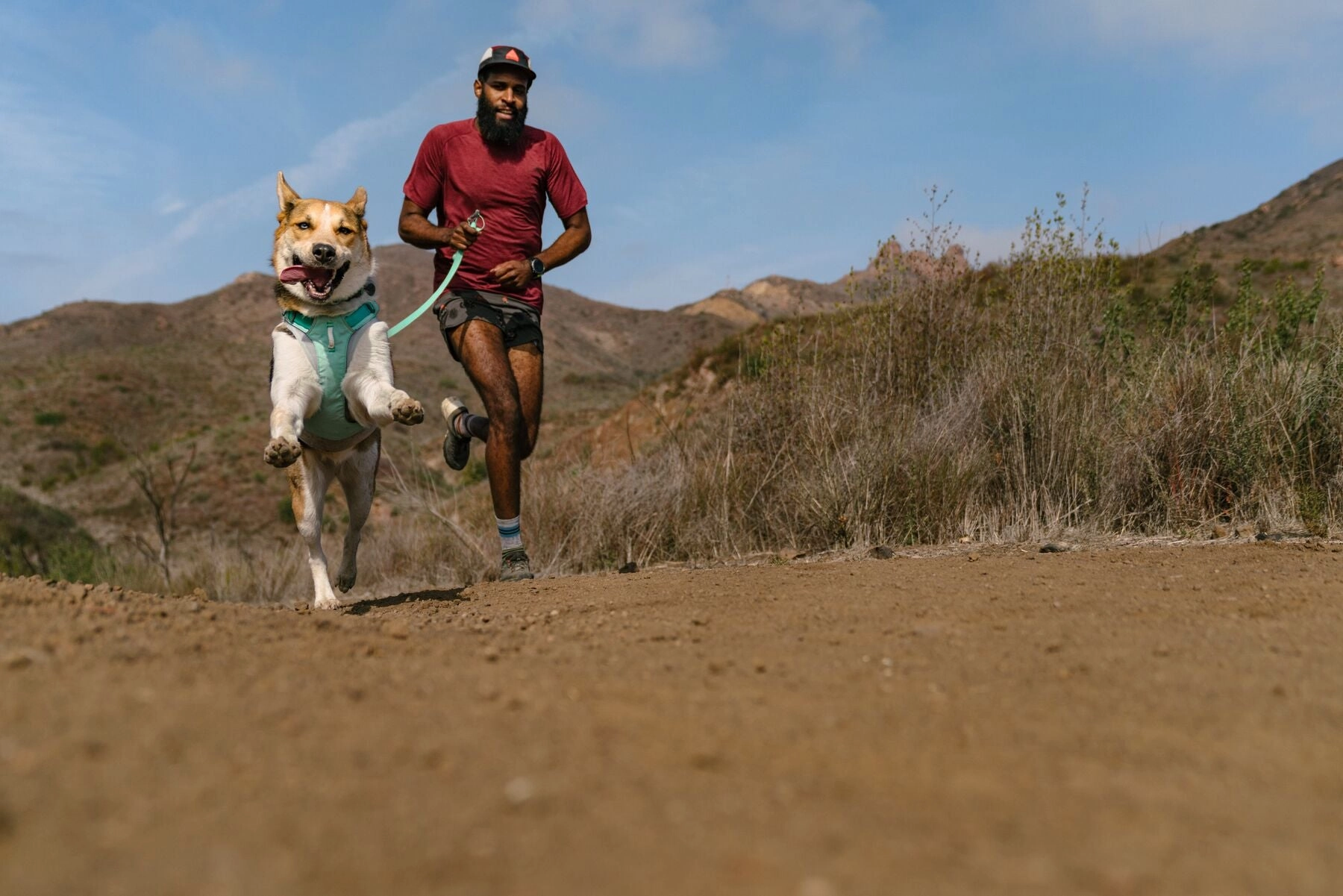 Hi & Light? Lightweight Dog Harness
