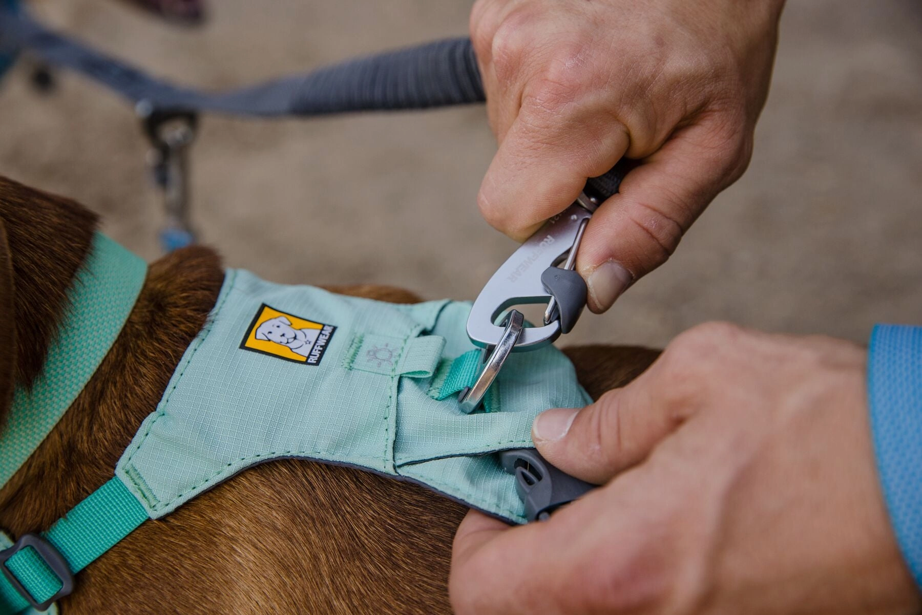 Hi & Light? Lightweight Dog Harness