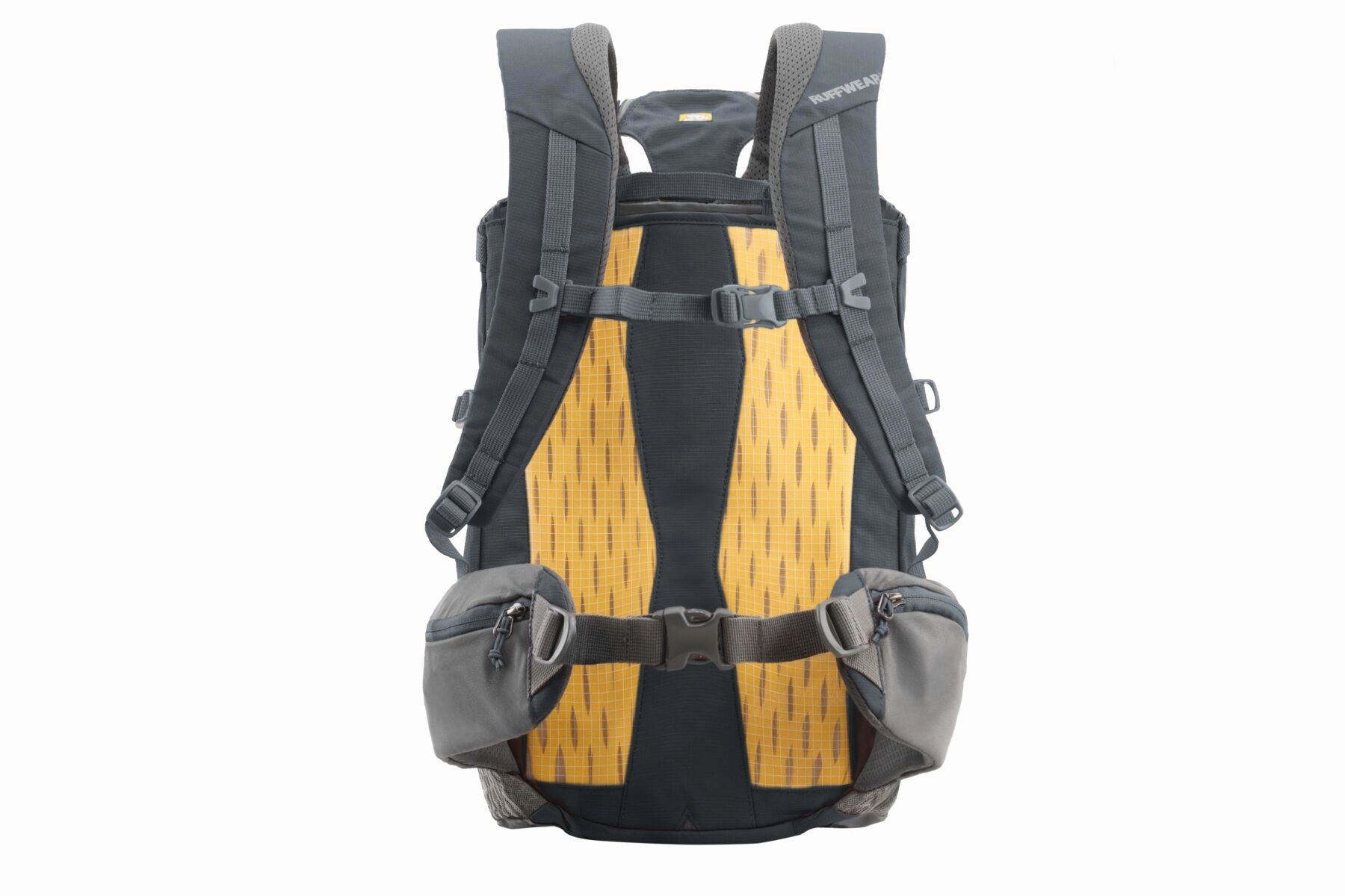 Hitch Hiker? Dog Backpack Carrier