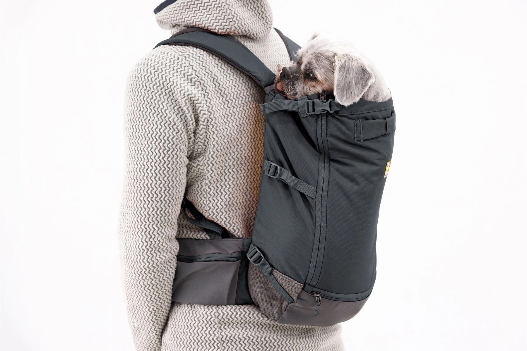 Hitch Hiker? Dog Backpack Carrier