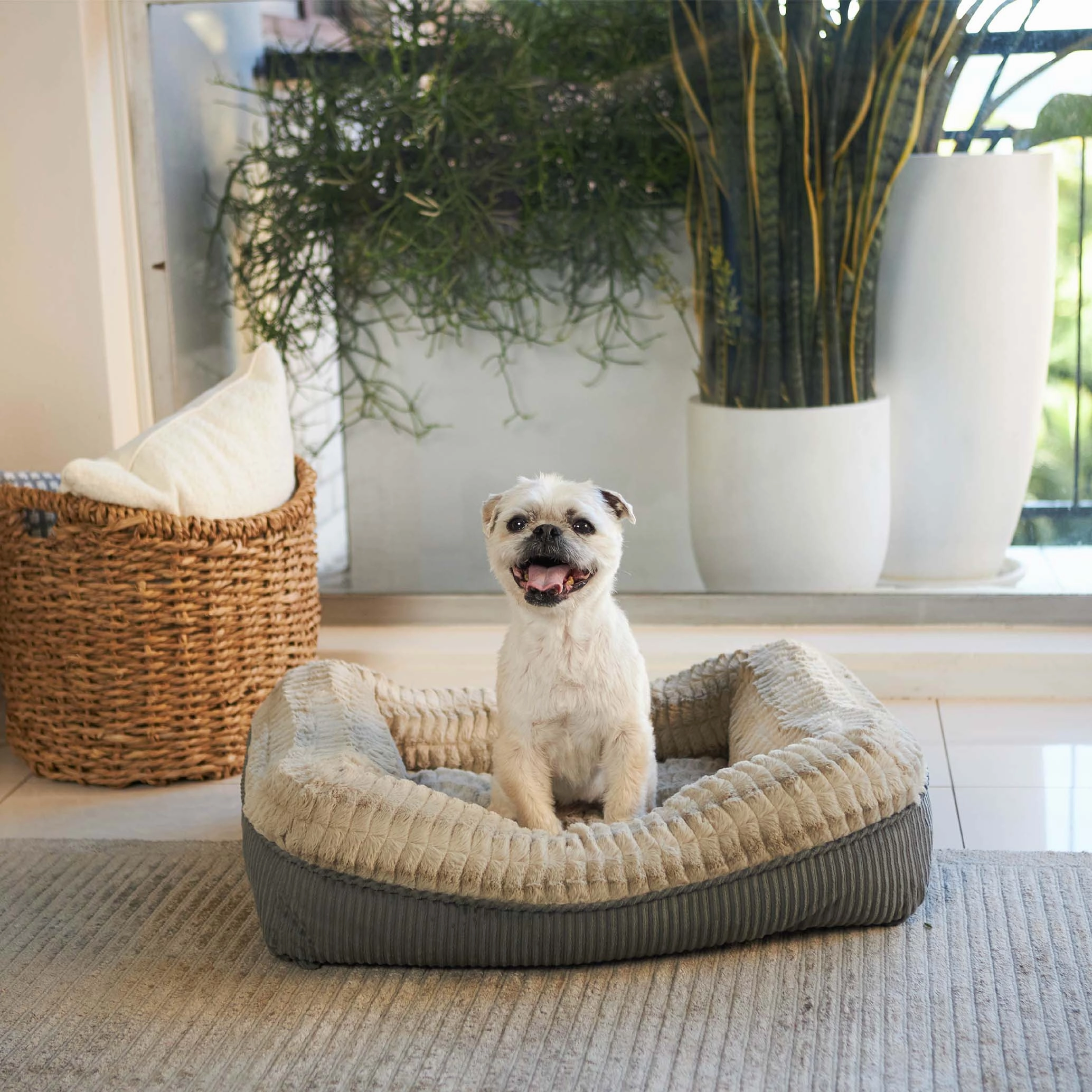Honey Possum Dog Bed