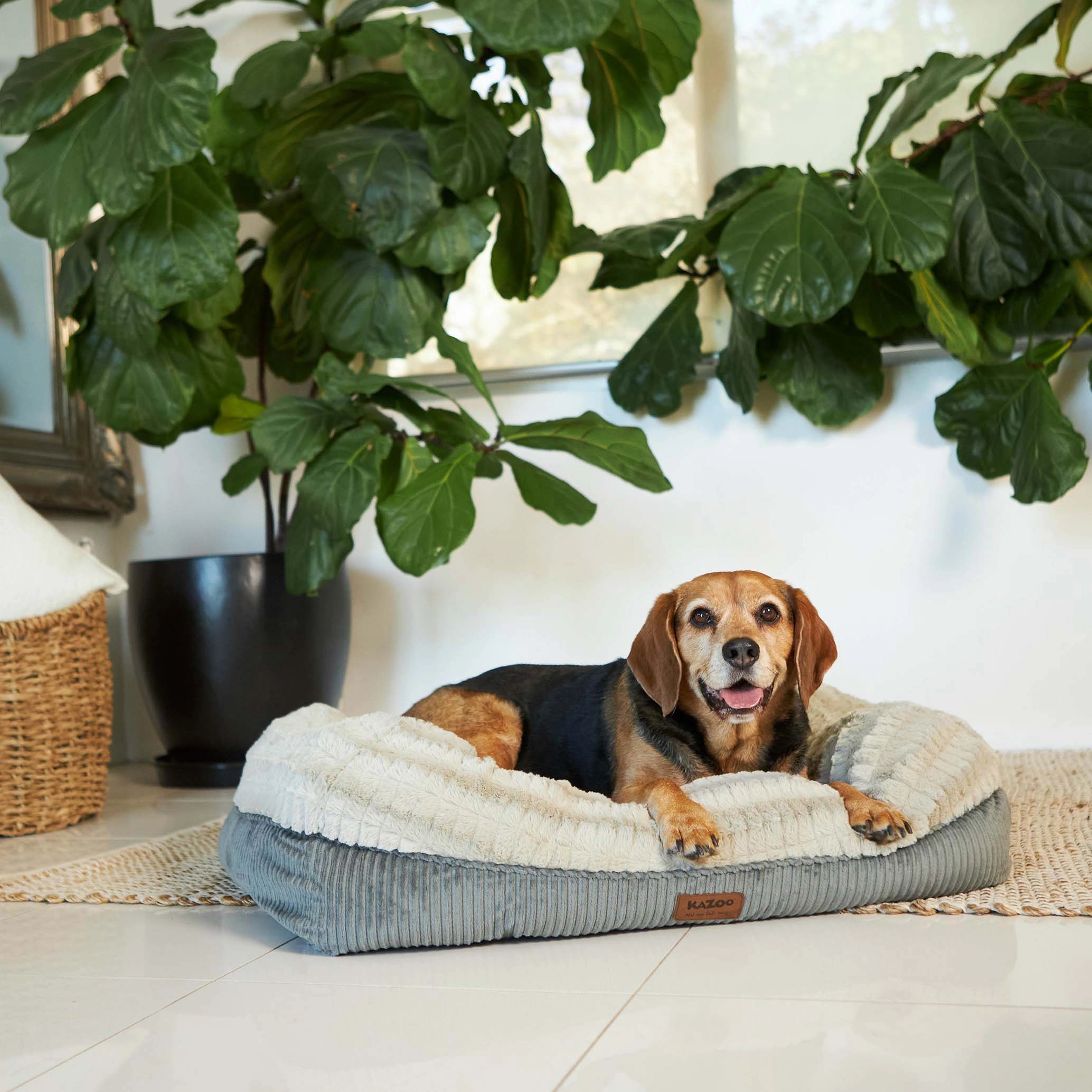 Honey Possum Dog Bed