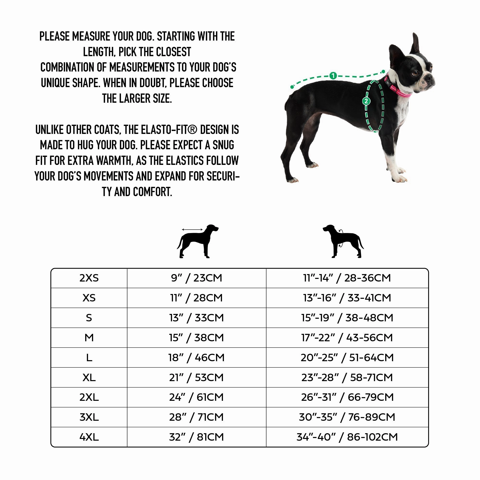 Insulated Waterproof Dog Winter Raincoat - Hazel