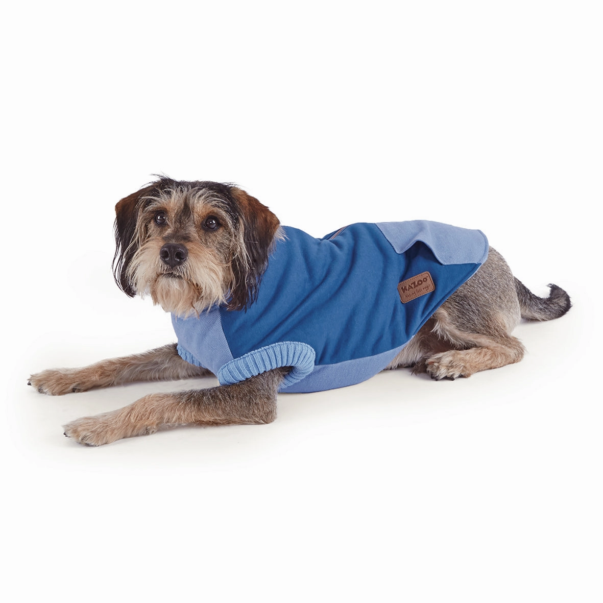 Kick Back Dog Jacket - Blue