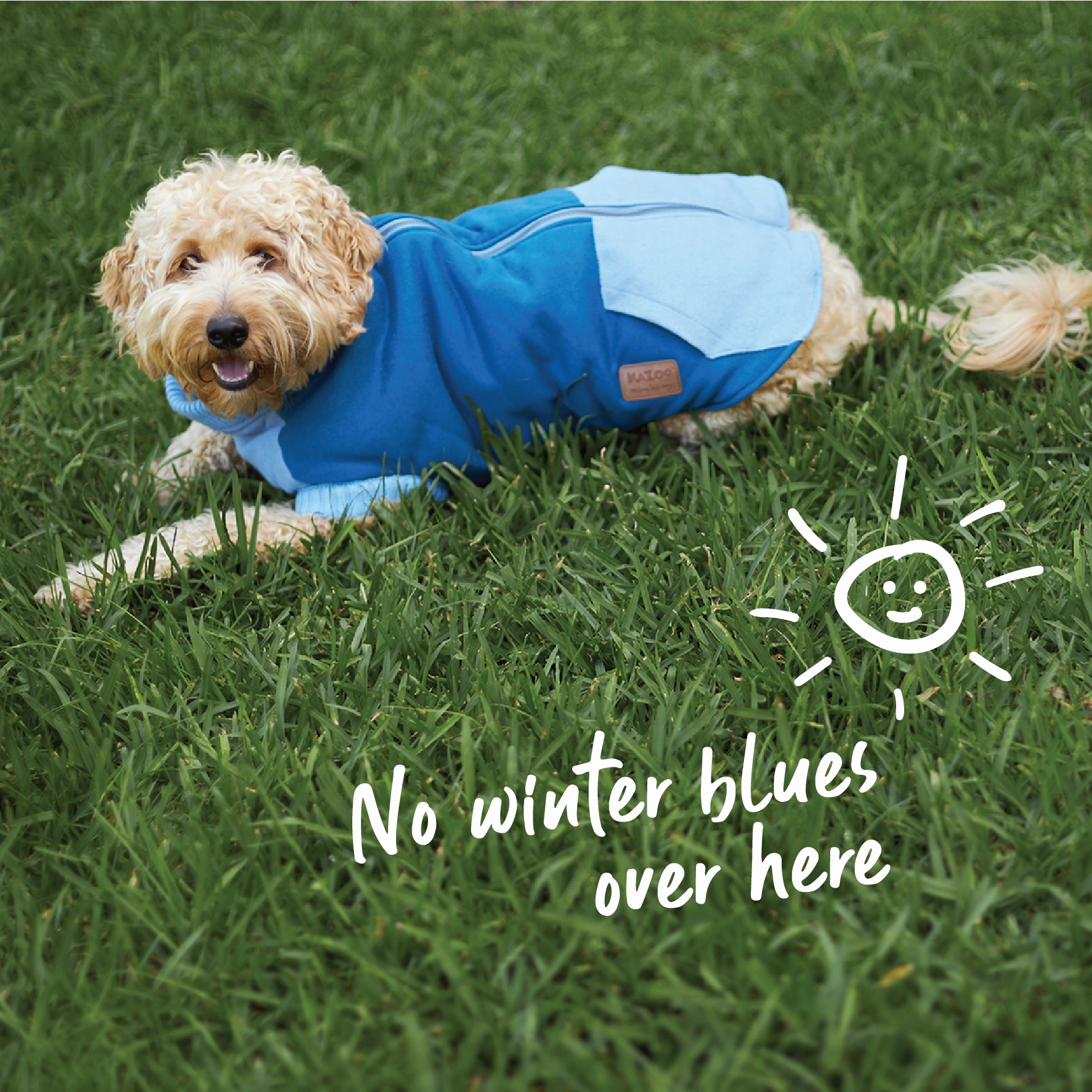 Kick Back Dog Jacket - Blue