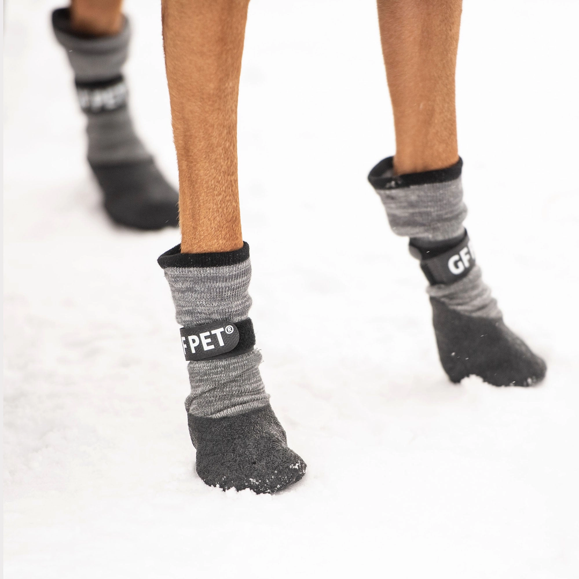 Lightweight Dog Grip & Protective Boots - Charcoal