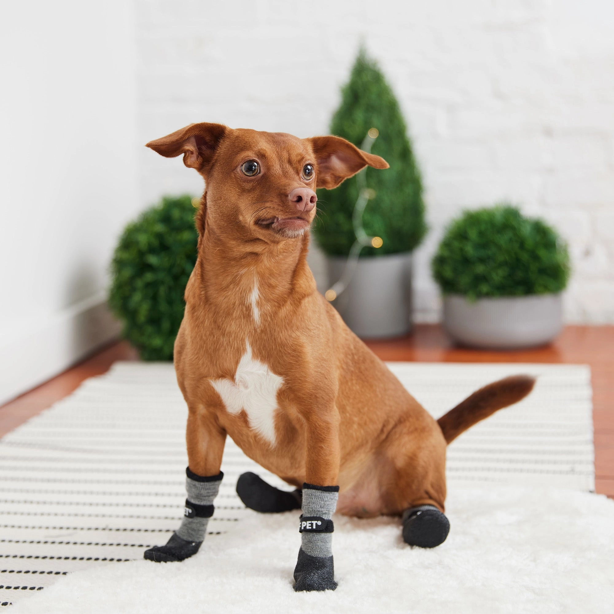 Lightweight Dog Grip & Protective Boots - Charcoal