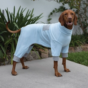 DOG PYJAMAS