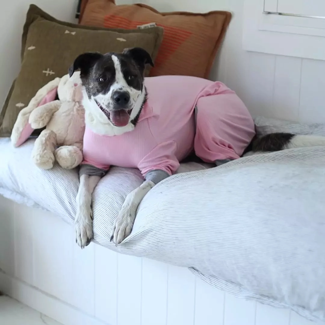 Long John Dog Pyjamas - Pink