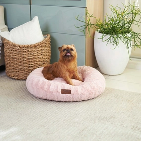 Loop Dog Bed - Blush