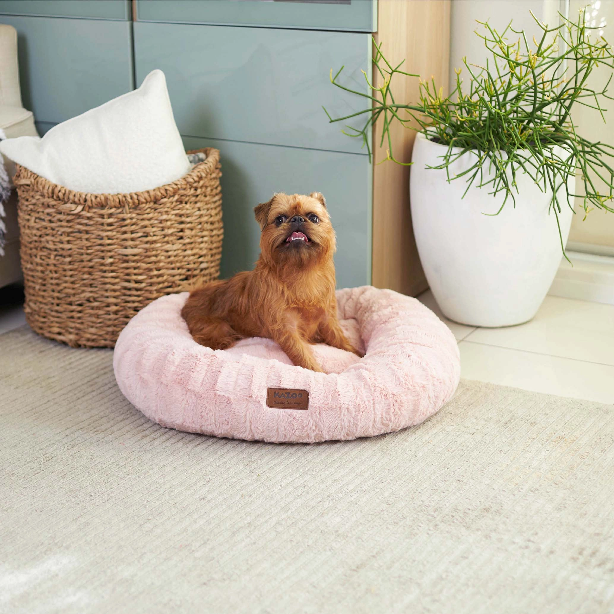 Loop Dog Bed - Blush
