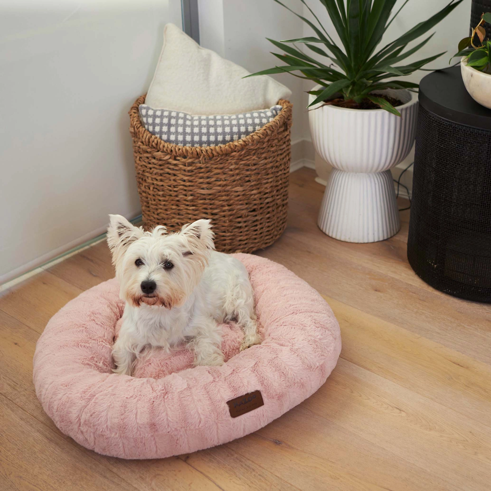 Loop Dog Bed - Blush