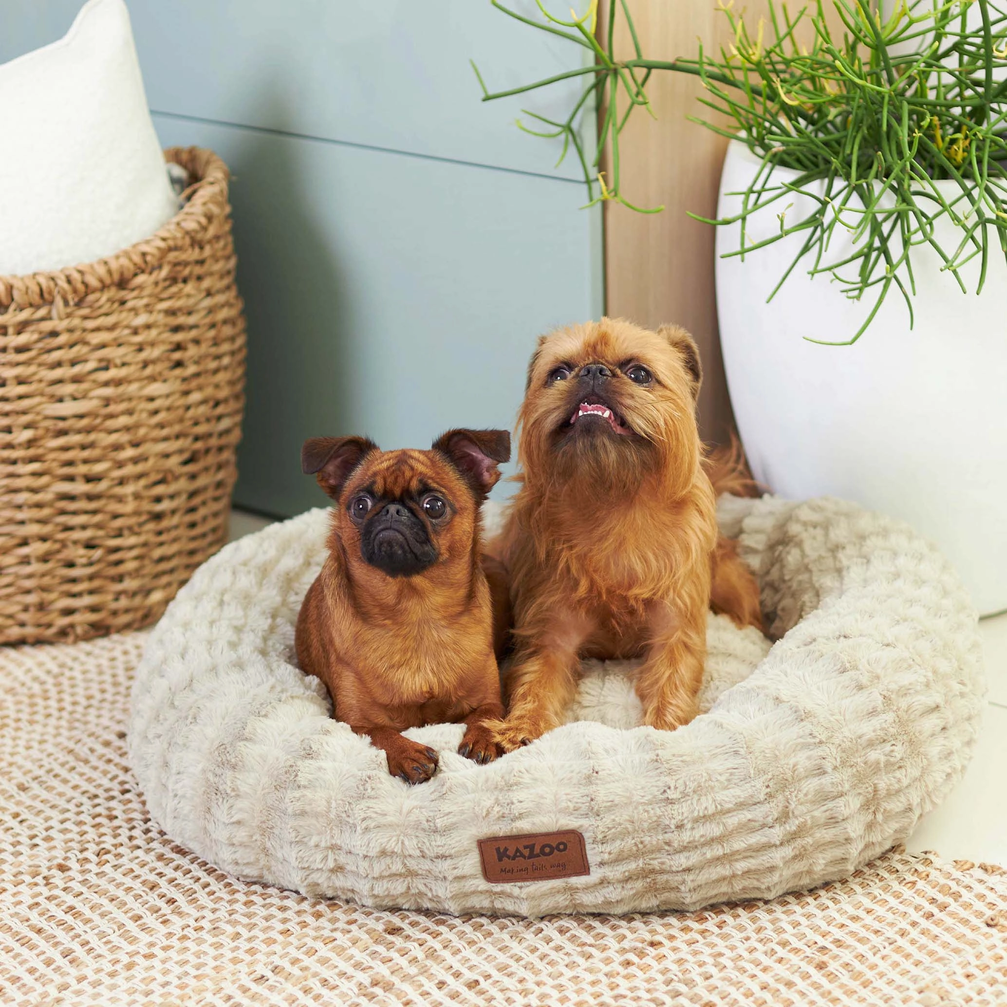 Loop Dog Bed - Clay