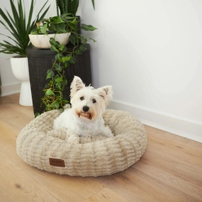 Loop Dog Bed - Clay