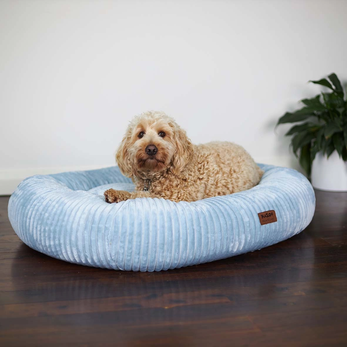 Loop Dog Bed - Seafoam