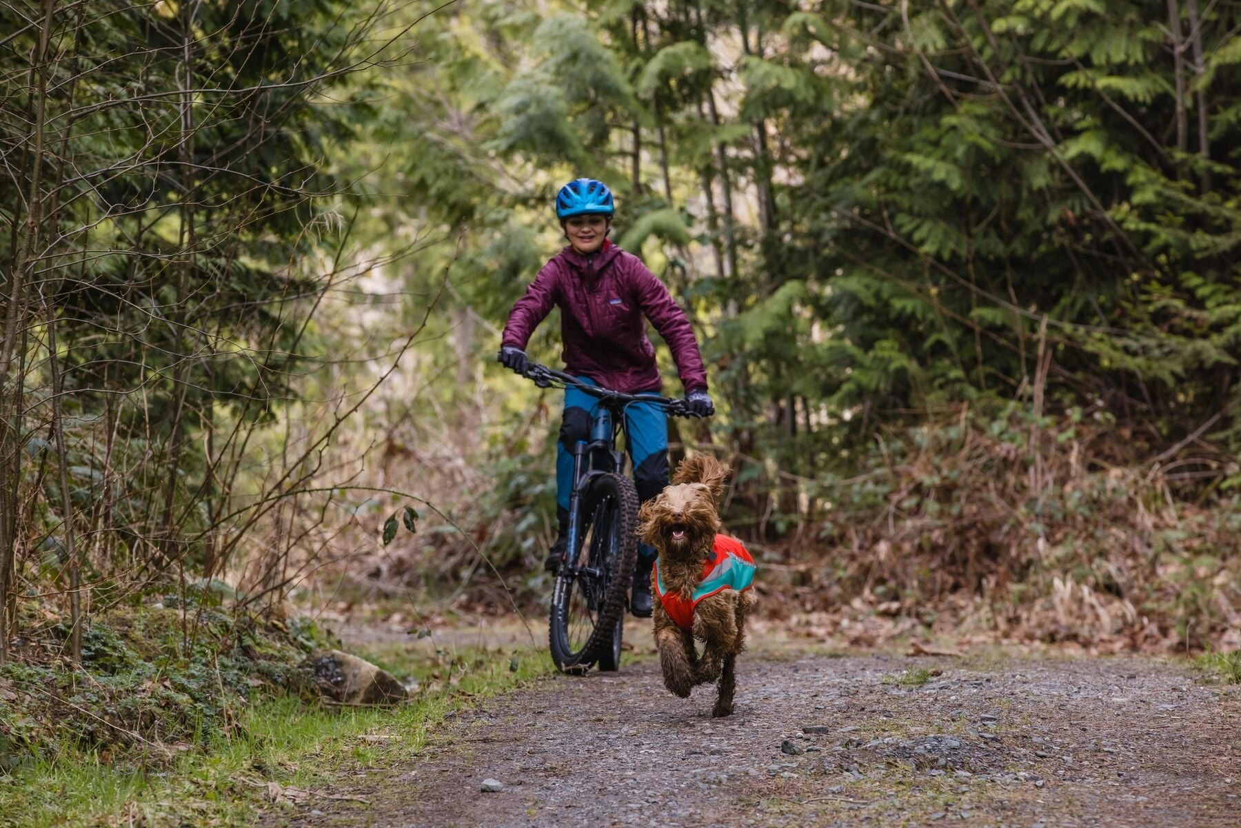 Lumenglow? Hi-Vis Dog Jacket