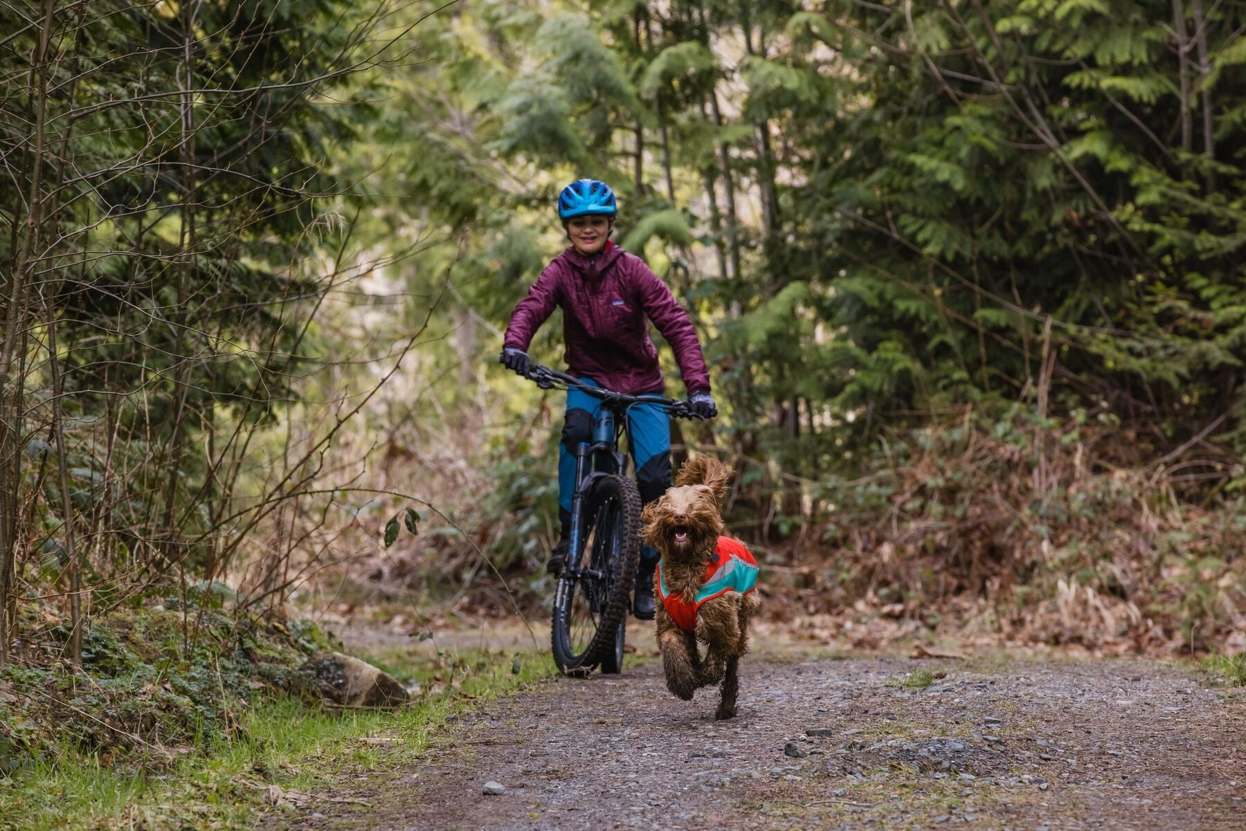 Lumenglow? Hi-Vis Dog Jacket