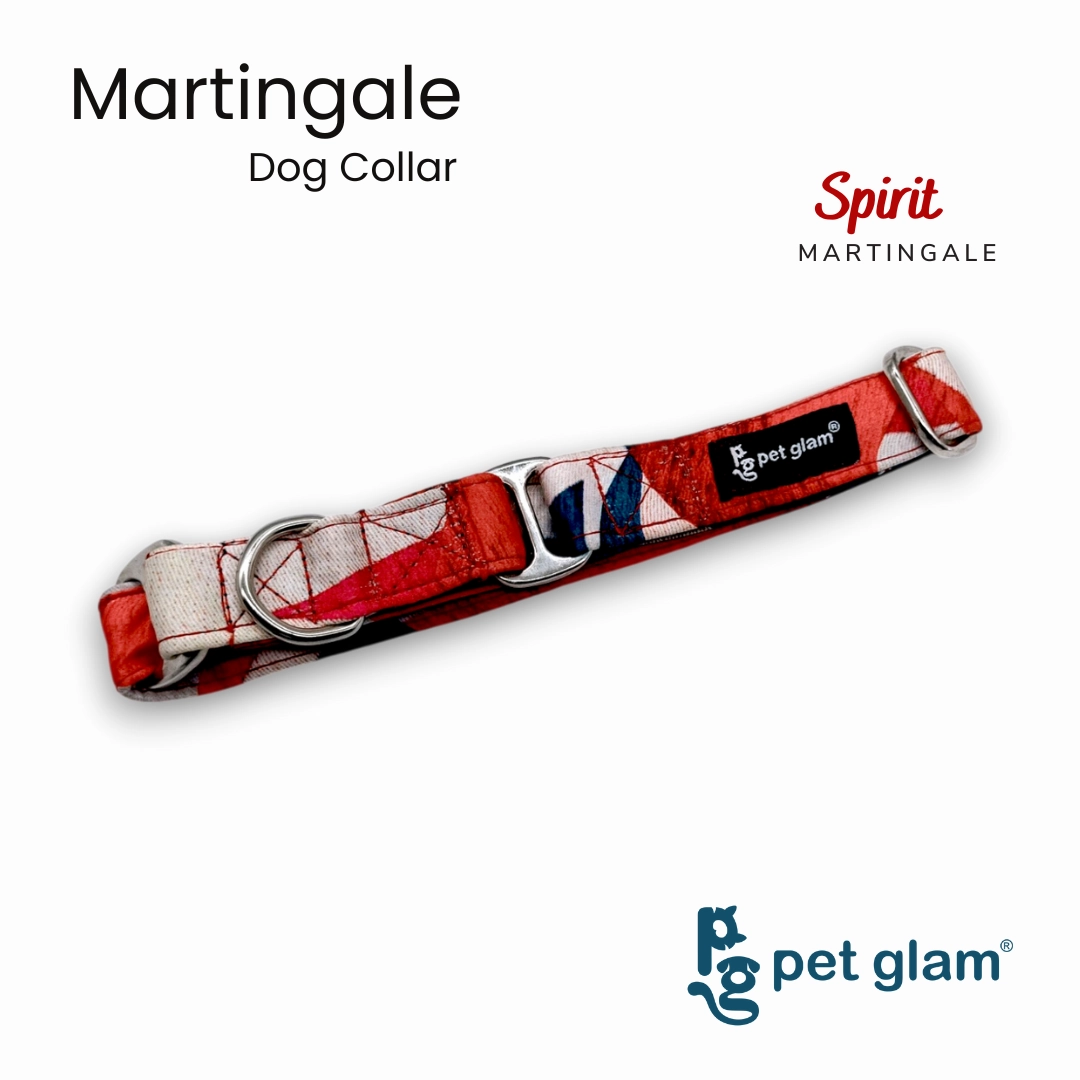 Martingale Collar for Dogs - Spirit - Semi Choke Fabric Dog Collar