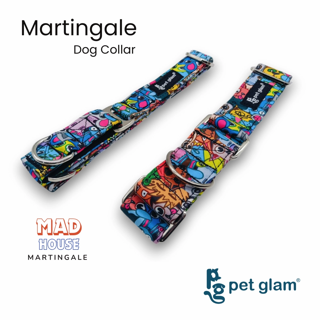 Martingale Collar for Dogs -Mad House