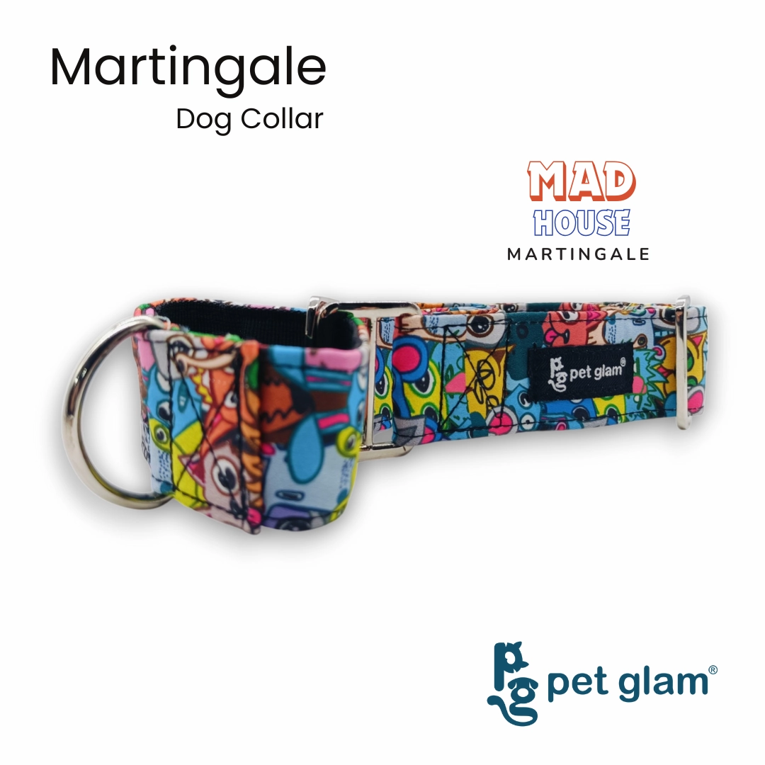 Martingale Collar for Dogs -Mad House