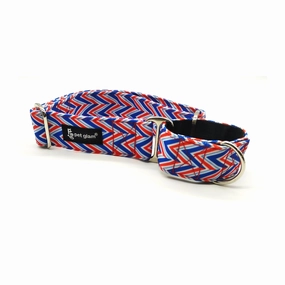 Martingale Dog Collar-Freedom 1.5 inch Wide
