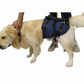 PET HARNESS