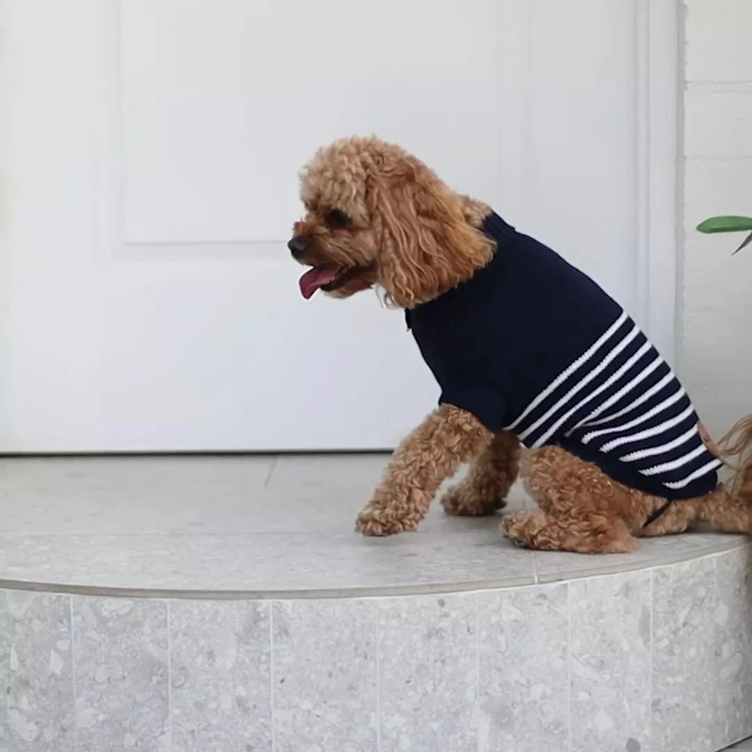 Navy Stripe Dog Jumper