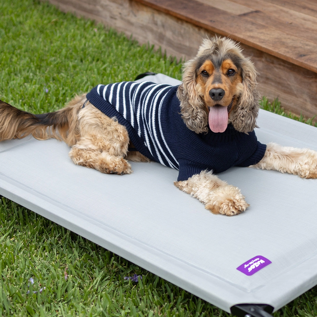 Navy Stripe Dog Jumper