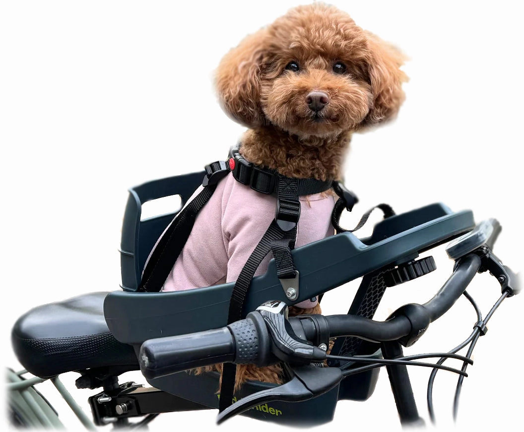 Open-Box Discounted Buddyrider? Series 2