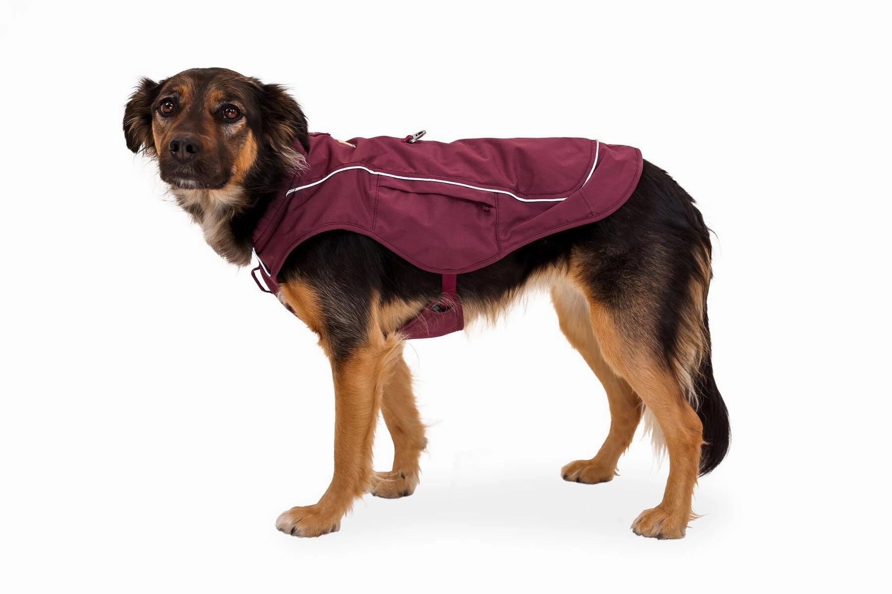Overcoat Fuse Jacket Harness Combo