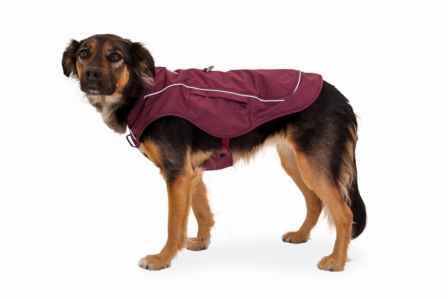 Overcoat Fuse Jacket Harness Combo
